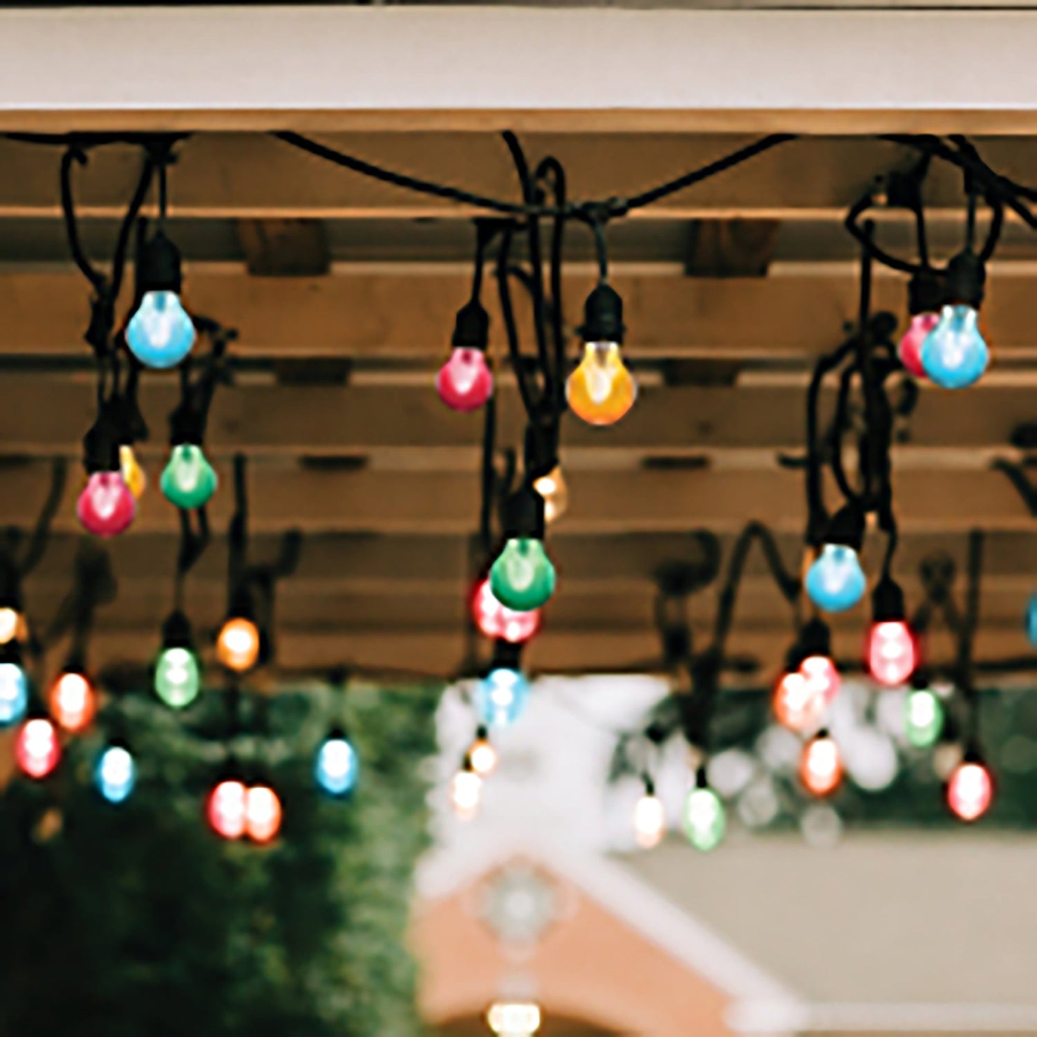 Festoon